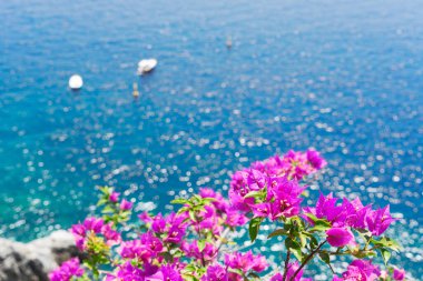Parlak çiçekler ve deniz, Amalfitana 'nın yazın güzel detayları, Amalfi kıyıları İtalya