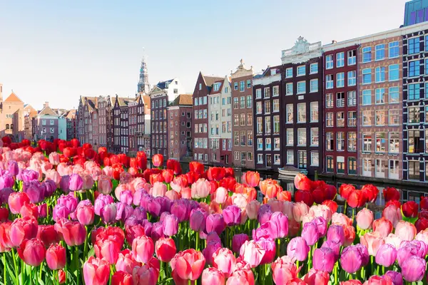 Amsterdam Landschaft Mit Kanal Damrak Mit Typisch Holländischen Frühlingstulpen Holland — Stockfoto