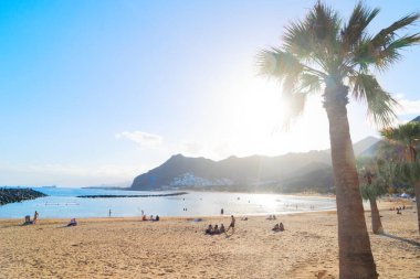 Santa Cruz de Tenerife, İspanya sahil şeridi.