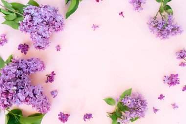 Kopya alanı ile pembe arka plan üzerinde Taze leylak çiçekler çerçeve, düz çiçek kompozisyon yatıyordu