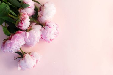 Pembe arka planda metin için kopya alanı ile pembe ve beyaz şakayık çiçekler çerçeve çelenk. Düz yatıyordu, üst görünüm. Şakayık çiçek dokusu