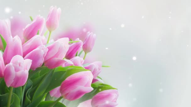 Frühling Rosa Tulpen Auf Blauem Bokeh Hintergrund Banner — Stockvideo