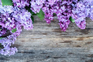 Ahşap zemin üzerine taze leylak çiçekleri. Kopya alanı olan düz çiçek kompozisyonu.