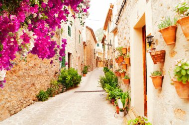 street in old town of Valdemossa with traditional flower pots, Majorca, Spain, Belearic islands clipart