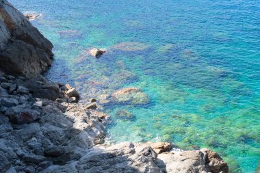 Vahşi sahil ve yazın Mallorca 'nın güzel doğası.