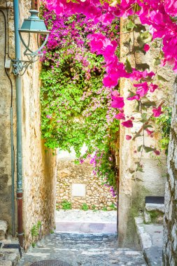 Çiçeklerle dolu eski güzel kasaba caddesi. Yaz, Provence, Fransa, retro tonlu.