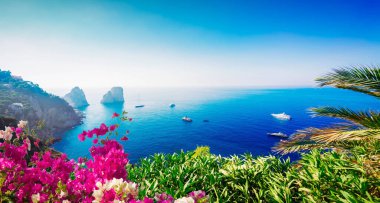 Famous Faraglioni cliffs and Tyrrhenian Sea clear blue water, Capri island, Italy with flowers, web banner format