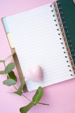 Açık defter ve yeşil okaliptüs yapraklı sıfır atık kavramı pembe arkaplan üzerinde