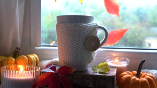 Thansgiving Fall Cozy Home Concept Mug Hot Drink Window — Stock Video