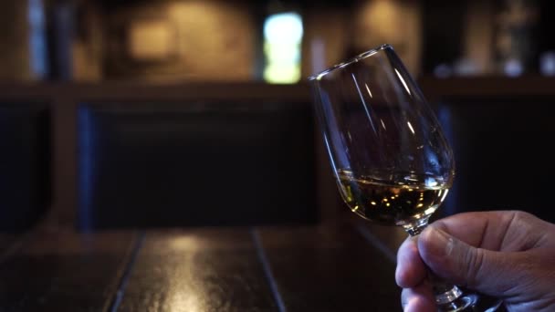 波特酒测试 酒杯加饮料 — 图库视频影像