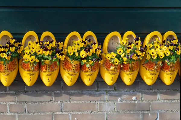 stock image Traditional dutch shoes clogs with fresh flowers close up