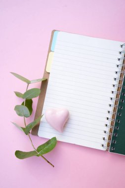 Açık defter ve yeşil okaliptüs yapraklı sıfır atık kavramı pembe arkaplan üzerinde