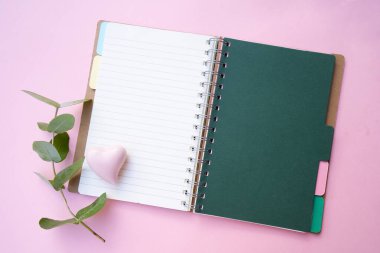 Açık defter ve yeşil okaliptüs yapraklı sıfır atık kavramı pembe arkaplan üzerinde