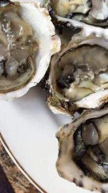 view of the raw oysters with shells on desk