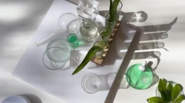 Bilim ve doğa konsepti, test tüplü yeşil laboratuvar.
