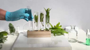 Bilim ve doğa konsepti, kadın araştırmacıların test tüplerini incelediği yeşil bir laboratuvar.