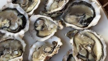 view of the raw oysters with shells on desk