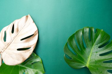 Yeşil arkaplan üzerinde tropikal yapraklar ve çiçekler, kopya alanı olan yaz arkaplanı