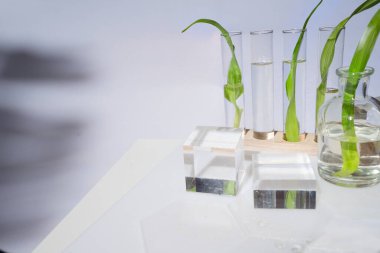 Bilim ve doğa konsepti, podyumlu yeşil laboratuvar arkaplanı, kopya alanı olan çerçeve