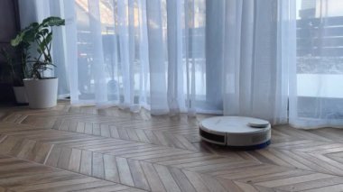 Beyaz, modern robot elektrikli süpürgesi olan kedi. Evin içinde, yerde.