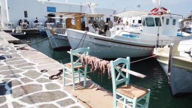 Kurutulmuş taze ahtapotlar - Yunanistan 'ın Paros adasının tipik yemekleri
