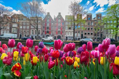 Cephe kanal üzerinden eski tarihi evlerin su, Amsterdam, Hollanda