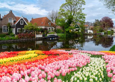Hollanda 'nın kırsal kesimlerinde geleneksel küçük bir kasaba olan Edam, Hollanda