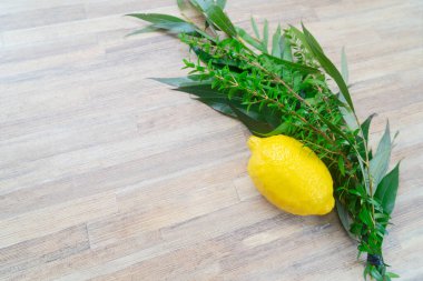 Mutlu Sukkot 'lar, Sukkot Yahudi festivalinin dini tasviri. Geleneksel semboller: Etrog, lulav, hadas, arava.