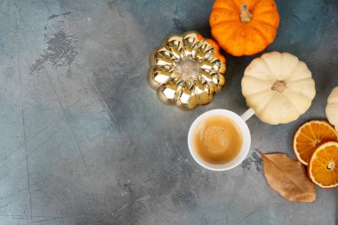 Beş gün süren balkabağı hasadı, fotokopi alanı ile üstten görünüm