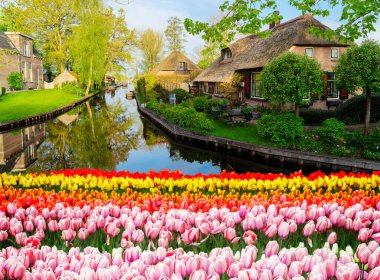 Hollanda 'nın kırsal kesimlerinde geleneksel küçük bir kasaba olan Giethoorn, baharda Hollanda kanalları.