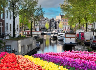 Hollanda, Amsterdam 'da kanal suyu üzerinde eski tarihi evler ve ağaçların cepheleri