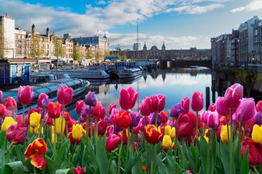 Cephe kanal üzerinden eski tarihi evlerin su, Amsterdam, Hollanda