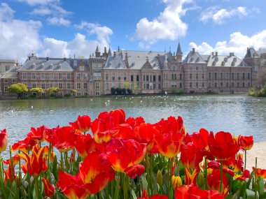Binnenhof - bahar itibariyle Hollanda Parlamentosu Lale çiçek, Lahey, Hollanda ile görünümünü