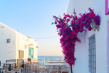 Naoussa, Yunanistan 'ın Paros adasındaki küçük bir köy olan güneşli denize açılan tipik beyaz cadde.