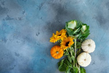 Gri arka planda güz çiçekleri ve balkabakları, üst manzara