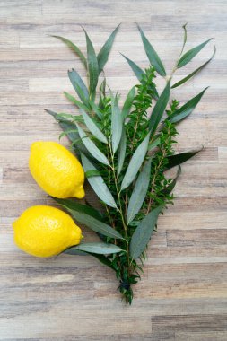 Mutlu Sukkot 'lar, Sukkot Yahudi festivalinin dini tasviri. Geleneksel semboller Etrog, lulav, hadas, ahşap masa üzerinde arava otları