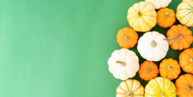 Halloween or thansgiving concept, orange and white pumpkins border on bright green background with copy space