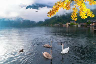Büyüleyici bir Lakeside Köyünün Görkemli Dağlar ve Doğa Arasında Görünümü