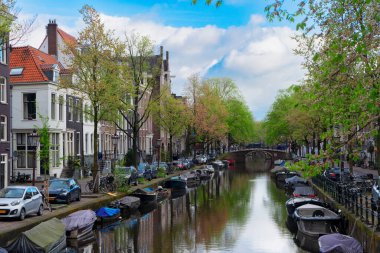 Hollanda, Amsterdam 'da kanal suyu üzerinde eski tarihi evler ve ağaçların cepheleri