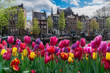 Cephe kanal üzerinden eski tarihi evlerin su, Amsterdam, Hollanda