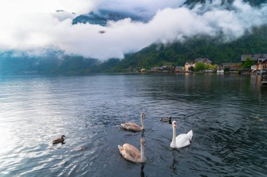 Büyüleyici bir Lakeside Köyünün Görkemli Dağlar ve Doğa Arasında Görünümü