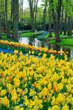 fresh spring lawn in garden with flowers and greenery with creek, Netherlands clipart