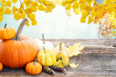 Ahşap masada yaprakları dökülen çiğ turuncu balkabağı yığını, fotokopi alanı olan def edilmiş bahçe arka planı.