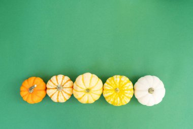 Cadılar Bayramı ya da bu tür kavramlar, parlak yeşil arka planda sonbahar lezyonları olan turuncu ve beyaz balkabakları dizisi