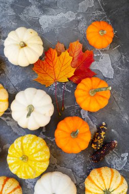 Cadılar Bayramı veya bu tür kavramlar, ahşap zemin üzerinde turuncu ve beyaz balkabakları satır fotokopi alanı
