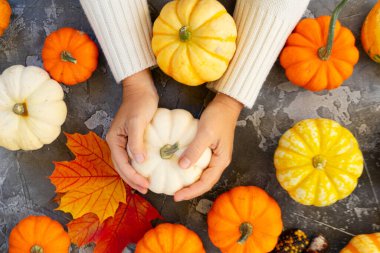 Halloween or thansgiving concept, orange and white pumpkins with hands holding one of pumpkins, top view