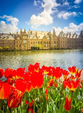 Binnenhof - bahar itibariyle Hollanda Parlamentosu Lale çiçek, Lahey, Hollanda ile görünümünü