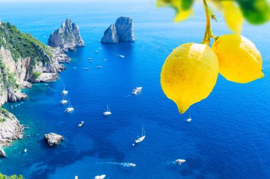 Ünlü Faraglioni Kayalıkları ve Capri Adası coast, İtalya, tonda retro