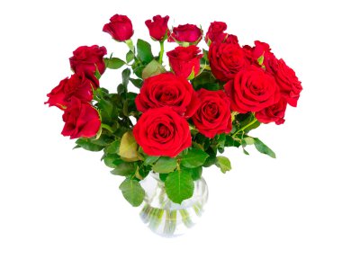 Beyaz arka planda izole edilmiş kırmızı taze tomurcuk.