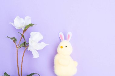 Tavşan taklidi yapan komik tavuklu Paskalya sahnesi, eflatun arka planda kopyalama alanı